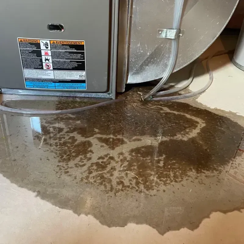 Appliance Leak Cleanup in Tucker, GA